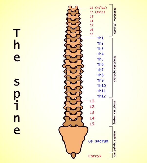 Osteocondrosis de Lumbale